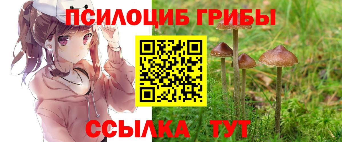 Лабытнанги  Псилоцибиновые грибы ЛСД  Вход с VPN  Псилоцибиновые грибы мухоморы 